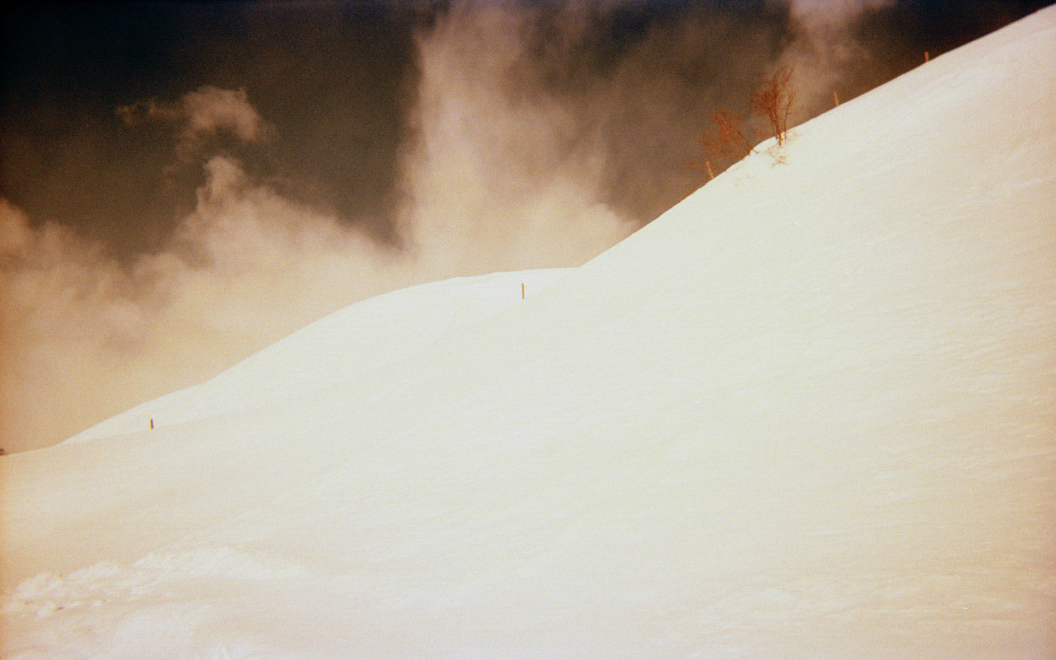 Expired Film
