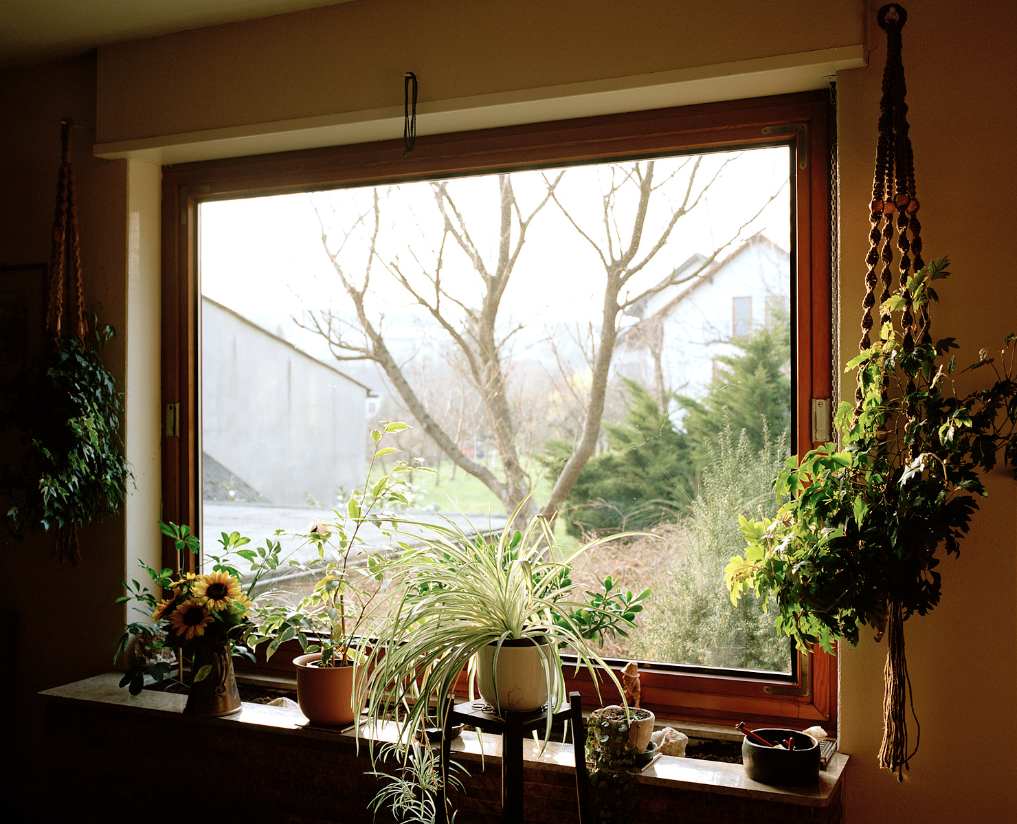 andere Heimat, home, house, 6x7, Mamiya, RZ67, Mamiya RZ76, medium format, film, film photography, filmisnotdead, ishootfilm, filmisalive